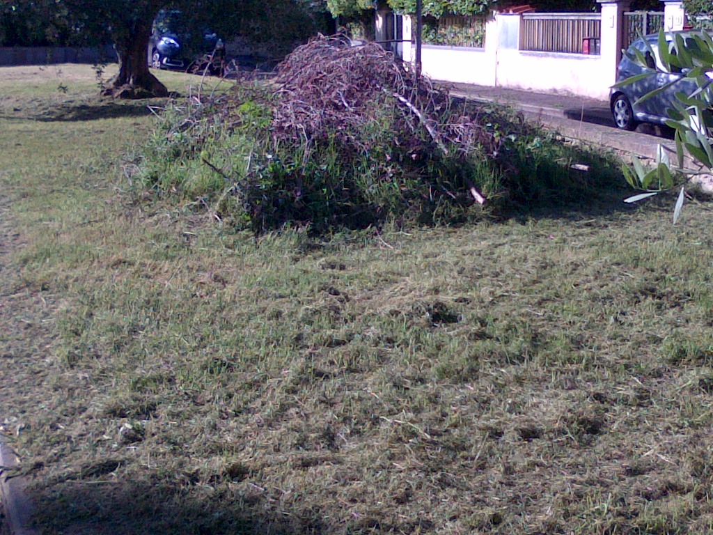 Potatura alberi angolo via Bruschi-Via guasti 12.5.15