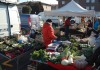 Mercato filiera corta 2