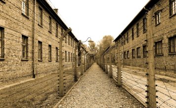 Giorno della Memoria, il programma delle iniziative a Sesto Fiorentino Campo di concentramento