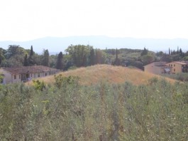 Tomba Etrusca la Montagnola