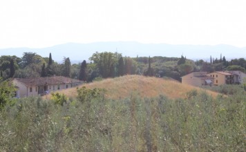 Tomba Etrusca la Montagnola