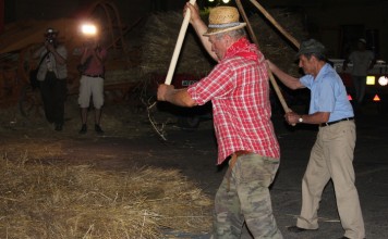 Cercina ospita la Festa del Grano