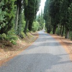 Fontemezzina, terminati i lavori: “Migliorata la viabilità e la sicurezza della strada”