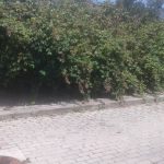 M5S: Dietro Poggio un quartiere nel degrado