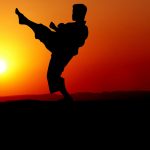 Trofeo Carnevale di Karate: ottimi risultati per Renbukan Sesto Fiorentino Karate Kata - Pixabay