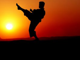 Trofeo Carnevale di Karate: ottimi risultati per Renbukan Sesto Fiorentino Karate Kata - Pixabay