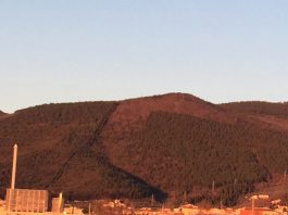 Via libera alla variante “Sp 130 Panoramica di Monte Morello”