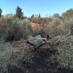 FOTO – Incendio sopra Careggi: sul posto anche La Racchetta di Sesto Fiorentino