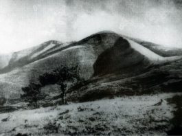 monte_Morello