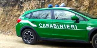 Carabinieri forestale