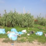 Campi, Gandola (FI): “Via Castronella, servono interventi per migliorare la vivibilità della zona”