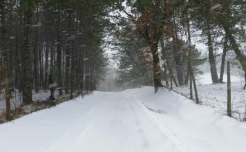 Sesto: viabilità limitata su alcune strade collinari