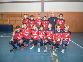 Sestese Maxitalia Service Jumboffice: vamos