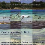 “I colori dell’acqua”: mostra al centro Antonio Berti