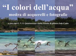 “I colori dell’acqua”: mostra al centro Antonio Berti