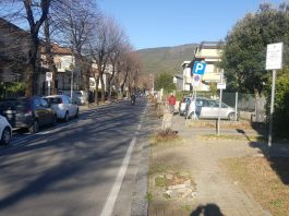 Alberi tagliati in viale XX Settembre