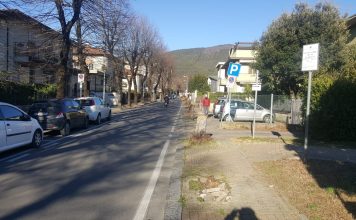Viale XX Settembre, A Sesto Acuto: “Solo la cultura del progetto può salvaguardare le nostre radici” Alberi tagliati in viale XX Settembre
