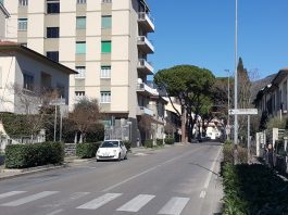 Viale Machiavelli, Viviamo Sesto: “Con cipressi alta esposizione a pollini allergenici” Viale Machiavelli
