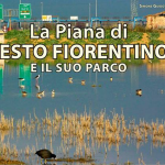 La piana di Sesto e il suo parco di Simone Guidotti