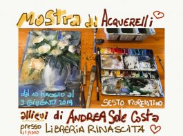 Alla libreria Rinascita la mostra di acquerelli degli allievi di Andrea Sole Costa acquerelli Andrea Sole Costa