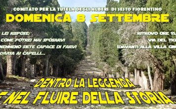 Sesto: passeggiata dentro il “rigo” su Monte Morello