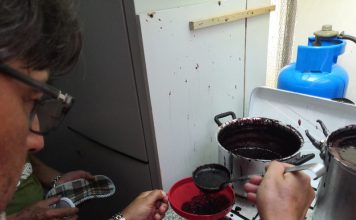TuttoSesto, è tempo di marmellata di more More