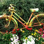 Bici e fiori