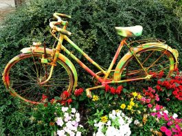 “Liberi di pedalare” domenica 22 settembre tra Firenze e la Piana Bici e fiori