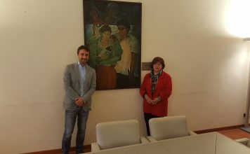Falchi - quadro Giuliano Pini