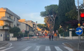 Viale Machiavelli Sesto