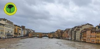 Arno - Racchetta