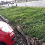 Sesto, la denuncia della Lega: “Parcheggi groviera in viale Ariosto e via Pasolini” Lega Sesto-parcheggi
