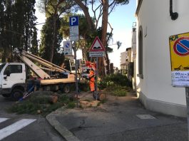 viale machiavelli