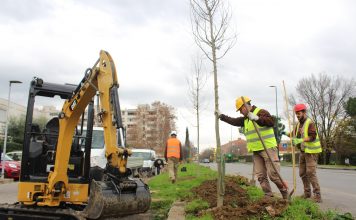 Lavori in viale Togliatti