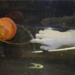 Liceo Artistico Sesto e Porta Romana a “I colori della scienza” colori della scienza