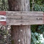 CAI Sesto: “Troppi cartelli avvitati agli alberi” segnavia proibiti - Cai Sesto