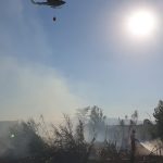 Sesto: incendio di sterpaglie vicino all’autostrada A11