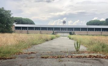 Museo Richard Ginori, Toccafondi (IV): “Tutto fermo, tranne l’erba che cresce e l’abbandono”