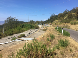 Panoramica monte Morello, Gandola (FI): “Metrocittà stanzi risorse per le aziende colpite” Panoramica Morello - Forza Italia