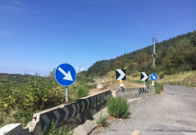 Panoramica Morello - Forza Italia