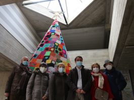 A Quinto Basso si accende il Natale albero_quinto