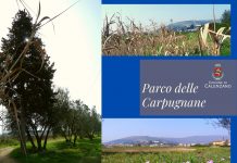 Parco delle Carpugnane