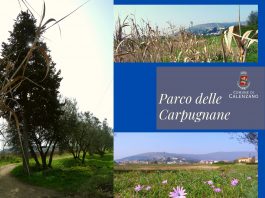 Parco delle Carpugnane