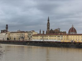 Skyline Firenze