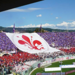 Curva viola