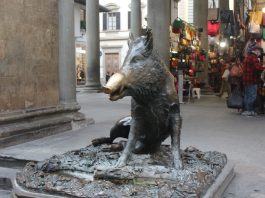 Porcellino