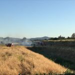 Sesto: incendio sull’argine in via dell’Osmannoro Incendio