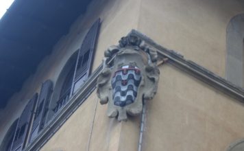 Piazza Pitti-Stemma de' Pitti 2