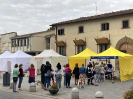 Lions in piazza 2021