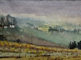 Acquerelli-Luca Socci